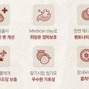 나무동물약국 이미지
