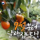 세븐일레븐 의정부럭키점 | 여름의 끝자락!
