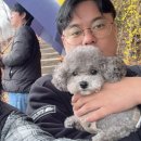 쥬니애견 | 🐔 진천 쥐꼬리명당 식당 예약 방법 닭볶음탕 후기 (초평저수지 맛집)