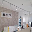 더케이펫 강아지분양 | 잇다펫 강남점 방문 후기 강아지 고양이 입양 알아본다면