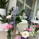 삼성미즈 앞 이미지