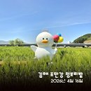 조만강생태체육공원 이동식화장실 | [조만강생태체육공원] 김해 조만강 청보리밭 사잇길로... 장유 4월 가볼만한 곳