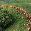 파란목장 이미지