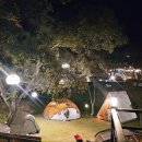 갈론계곡캠핑장 이미지