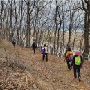 의령약국 이미지