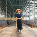 이소농장 이미지