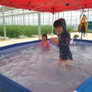 비안농장 이미지