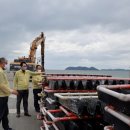 완도11호 이미지