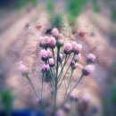 원스농장 이미지