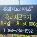 제주감귤농업협동조합위미지점 이미지