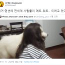 오니 이미지