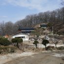 보삼로 Daum카페