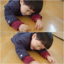 차성규농장 Daum카페