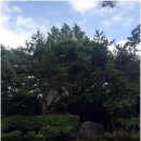 효건축사사무소 | 성남시 분당구 서현동 효자촌 동아아파트 인테리어 공사동의서 및 공사신고 대행 후기~
