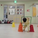 다온농장(2) | 서면다온어린이집 연령별 발달 지원과 놀이 안내