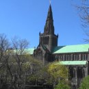 도시와자동차 이미지