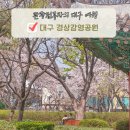 경상감영공원 | 대구 동성로 벚꽃 경상감영공원 벚꽃 실시간 후기 여행코스 추천