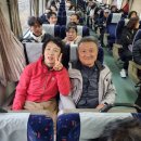🌊🚆 [평택풍물단] 2025 서천 기차여행 후기 — 단풍보다 우리가 더 예뻤던 날 이미지