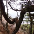 대산면(순창) 이미지