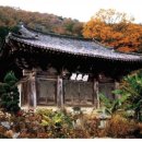 태권반아 | 四字成語 총정리 920 (금탁조시~금하유고)