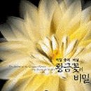 황금꽃 이미지