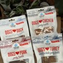 러브독스 이미지