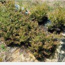 참새농장 이미지