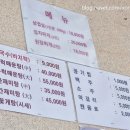 진두식당 | 덕적도 1박2일_덕적도 현지 맛집, 진두식당 김치찌개 한 끼 후기