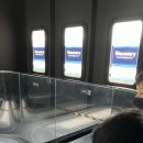 디스커버리 네이처스케이프