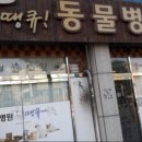 땡큐동물병원 네이버블로그