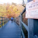 챌린지태권도장 이미지