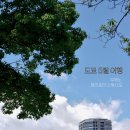 5월 봄 도쿄 여행 후기 - 우에노, 해리포터 스튜디오
