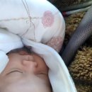 김&안소아과의원 이미지