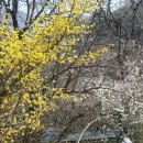 서경엔지니어링주