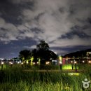 대구부수성비 이미지