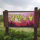 25.10.31.금~10월의 마지막 밤을~ 이미지