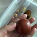 윤하농장 이미지