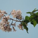 오금고등학교 생태 지도안 이미지