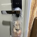 다영이네집밥 | 김동희 연말결산 (내가보려고 쓰는 일상)