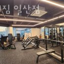 고 베어 짐 이미지