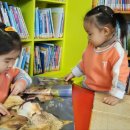 송강마을작은도서관 이미지