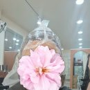 13월헤어살롱