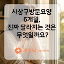 현대자동차(주)사상서비스센터 | 사상구방문요양 6개월, 진짜 달라지는 건 뭘까요