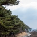 금광산성 이미지