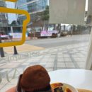 요거트아이스크림의 정석 세종시청점