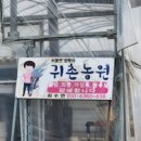 비봉울금