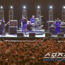 펌킨즈