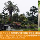 (주)삼영관광 일출랜드 이미지