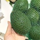 베스트픽닷컴