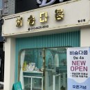 비숑다움 이미지